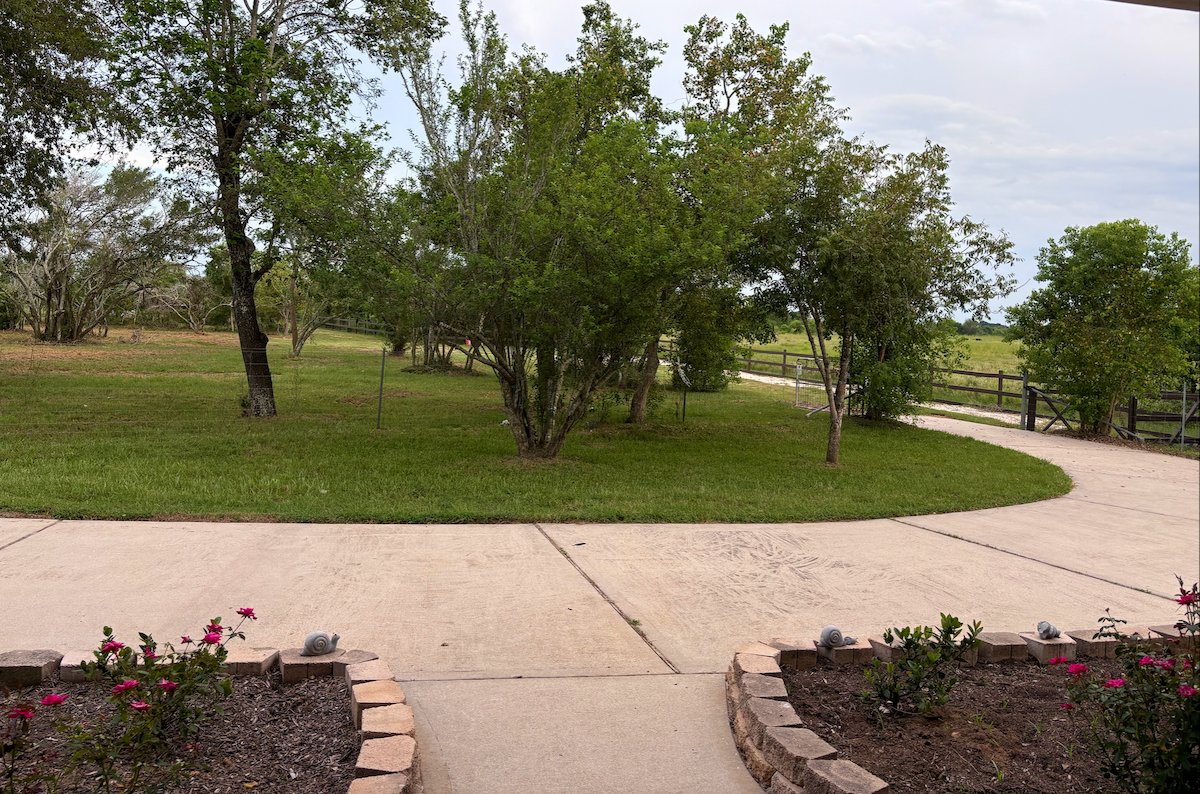 Ample guest parking space